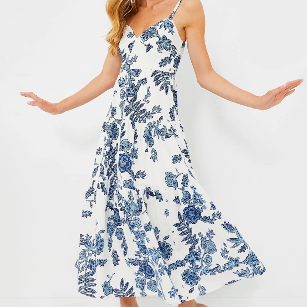 Moon River Plunge Blue & White Dress Maxi
